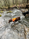 PA Trail Dogs Reflective Trail Bandanna